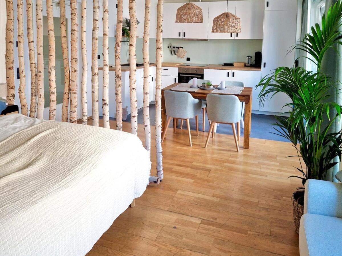 Grosszuegiges Studio-apartment Apartment *
