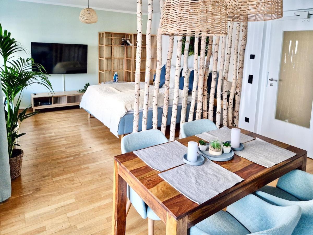 Grosszuegiges Studio-apartment Dresden
