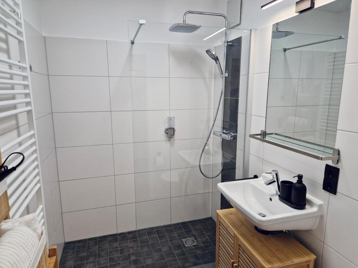 Grosszuegiges Studio-apartment * Dresden